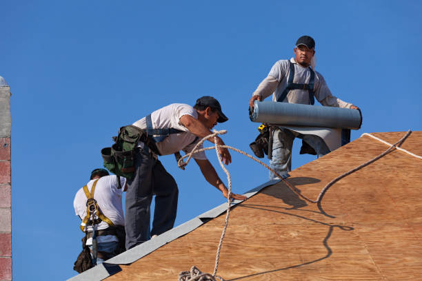 Best Storm Damage Roof Repair  in Kimball, TN