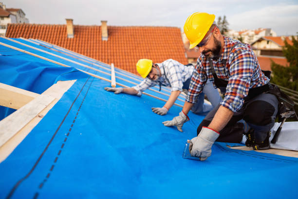 Best Flat Roof Repair Services  in Kimball, TN